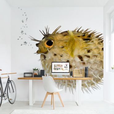 Wallpaper - No.602 Pufferfish