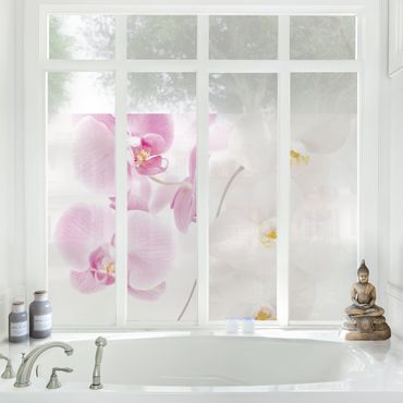 Window decoration - Delicate Orchids