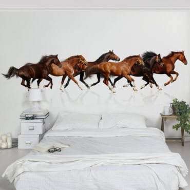 Wallpaper - Horse Herd