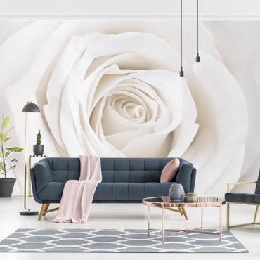 Wallpaper - Pretty White Rose