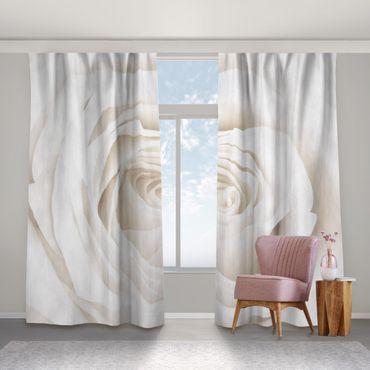 Curtain - Pretty White Rose