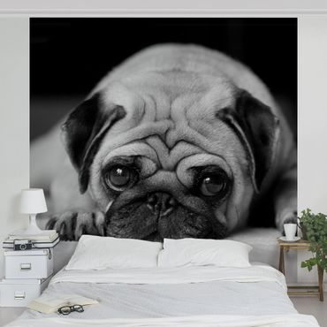 Wallpaper - Pug Loves You II