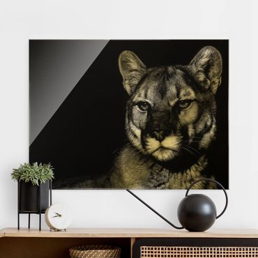 Glass print - Puma On Black - Landscape format
