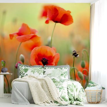 Wallpaper - Red Summer Poppy