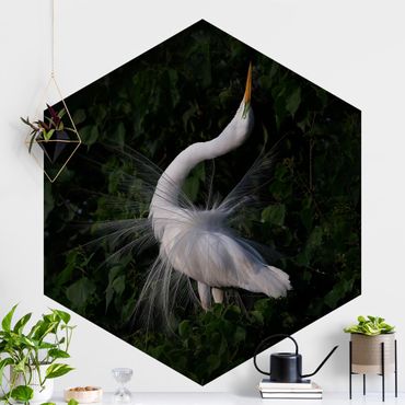 Self-adhesive hexagonal pattern wallpaper - Dancing Egrets In Front Of Black