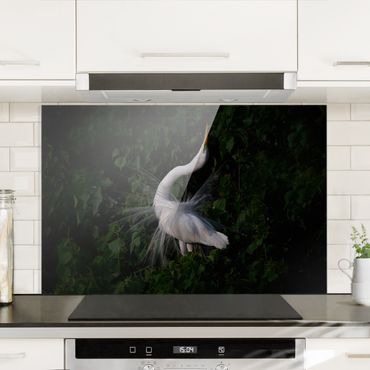 Splashback - Dancing Egrets In Front Of Black - Landscape format 3:2