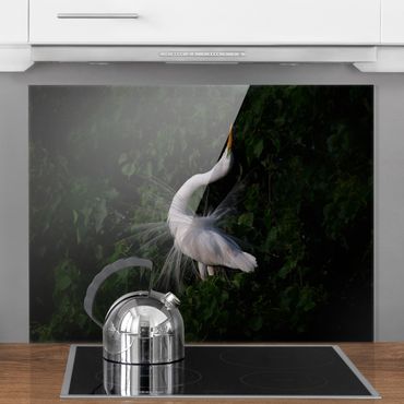 Splashback - Dancing Egrets In Front Of Black - Landscape format 4:3
