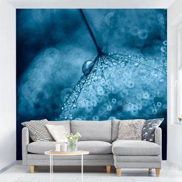 Wallpaper - Blue Dandelion In The Rain