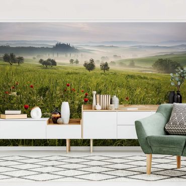 Wallpaper - Tuscan Spring
