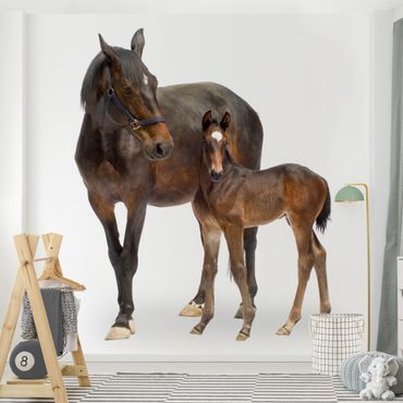Wallpaper - Trakehner Mare & Foal