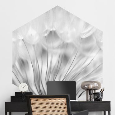 Self-adhesive hexagonal pattern wallpaper - Beautiful Dandelion Black And White