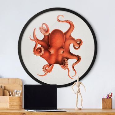 Circular framed print - Vintage Illustration Red Octopus