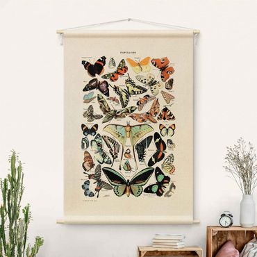 Tapestry - Vintage Teaching Illustration Butterflies