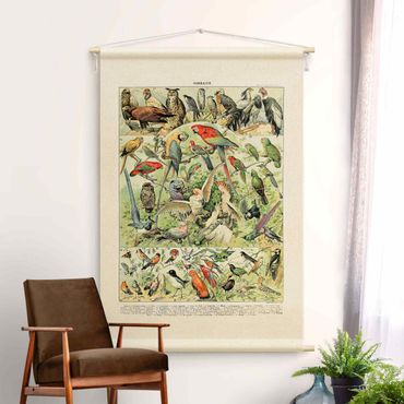 Tapestry - Vintage Teaching Illustration Birds