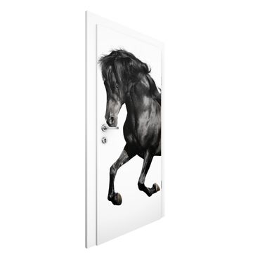 Door wallpaper - Arabian Stallion