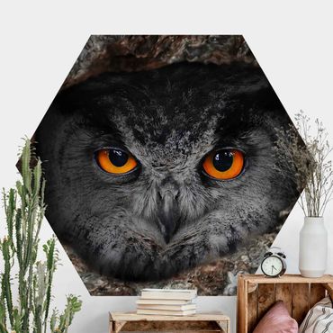 Self-adhesive hexagonal pattern wallpaper - Watching Owl