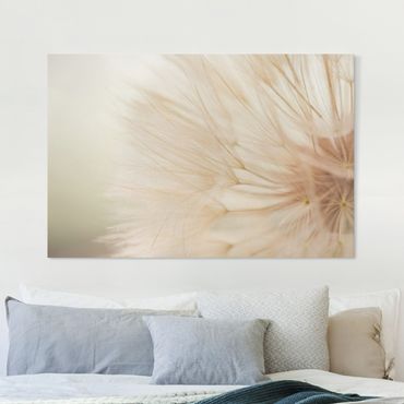 Canvas print - Soft Dandelions