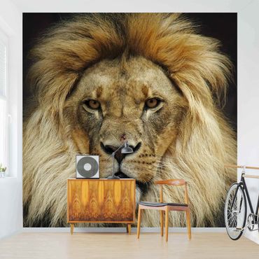 Wallpaper - Wisdom Of Lion