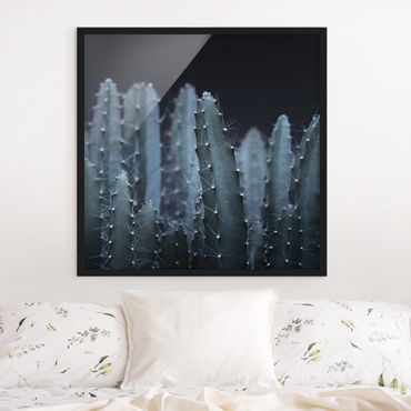 Framed poster - Desert Cactus At Night