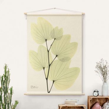 Tapestry - X-Ray - Orchid Tree Leaves