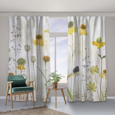 Curtain - Delicate Helenium Flowers