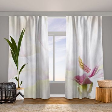 Curtain - Delicate Magnolia Flowers