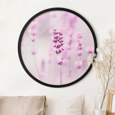 Circular framed print - Pale Purple Lavender