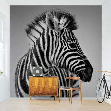 Wallpaper - Zebra Baby Portrait II