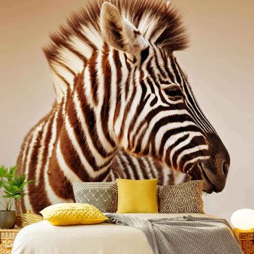 Wallpaper - Zebra Baby Portrait