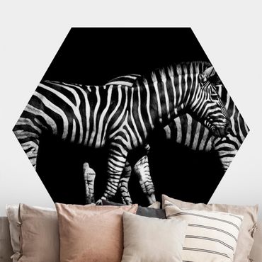 Self-adhesive hexagonal pattern wallpaper - Zebra In The Dark