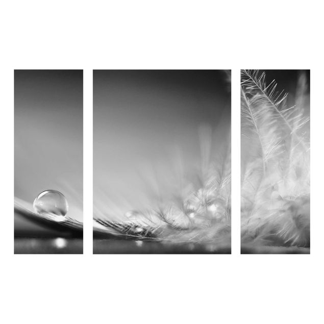 Feather poster Story of a Waterdrop Black White