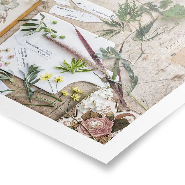 Prints Flowers And Garden Herbs Vintage