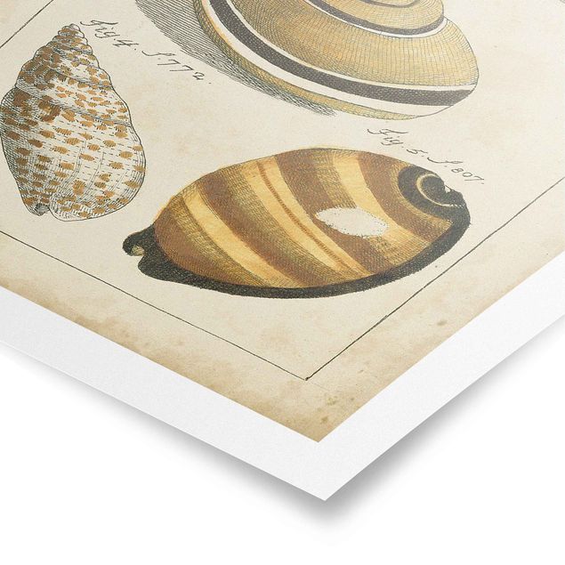 Vintage posters Vintage Worm Drawing Yellow