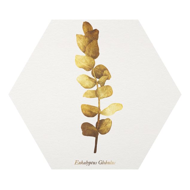 Forex prints Gold - Eucalyptus