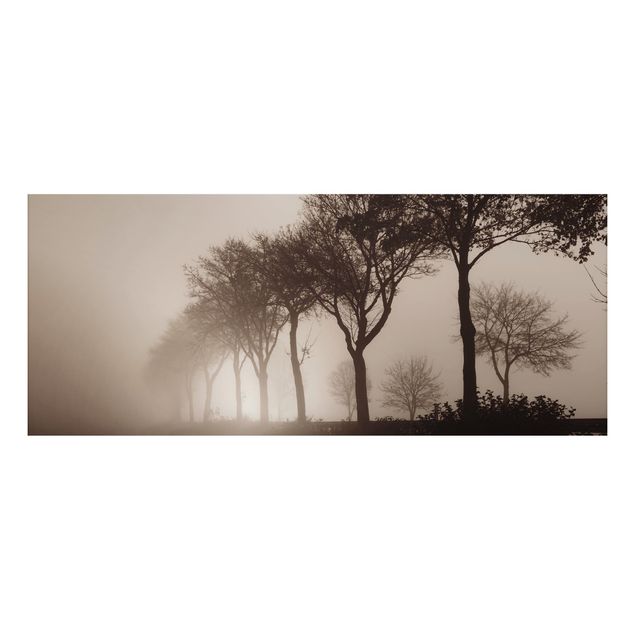 Prints landscape Tree Avanue In Morning Mist