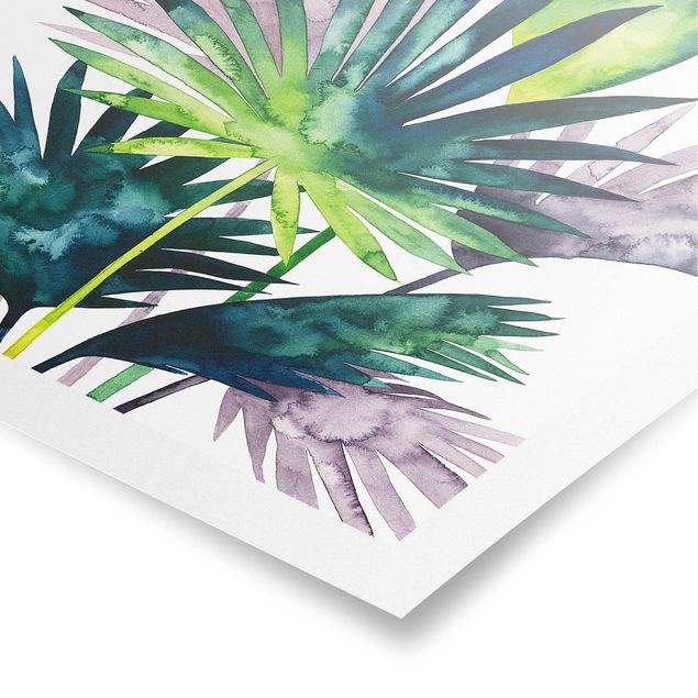 Prints green Exotic Foliage - Fan Palm