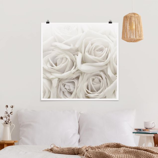 Prints floral White Roses