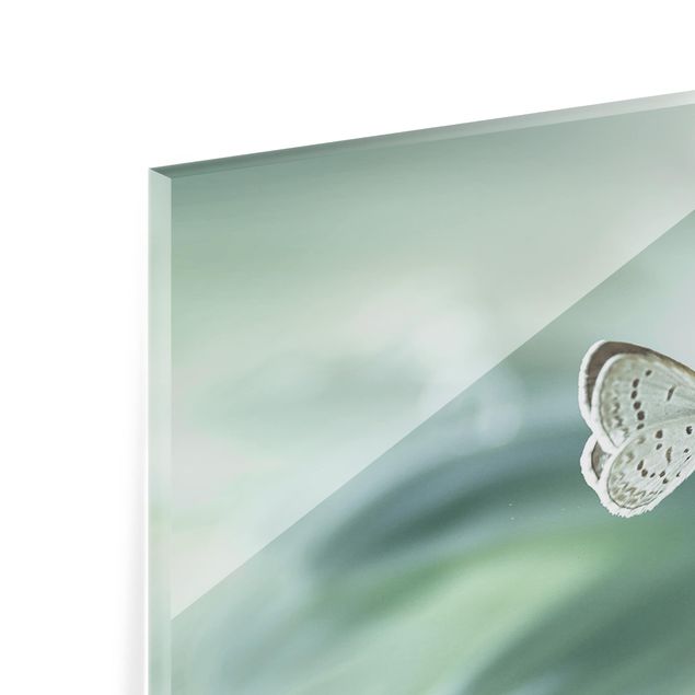 Glass Splashback - Butterfly And Dew Drops In Pastel Green - Panoramic