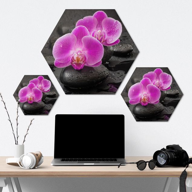 Hexagon photo prints Pink Orchid Flower On Stones With Drops