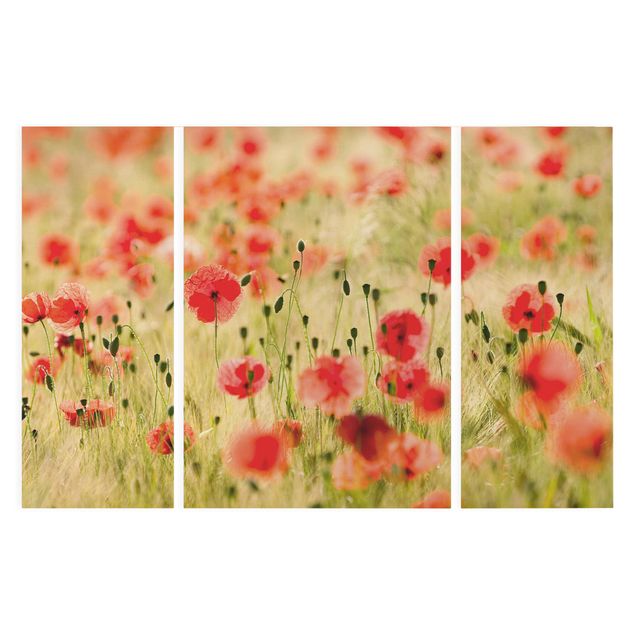 Prints flower Summer Poppies