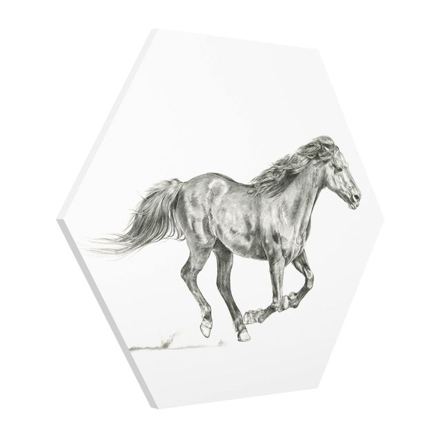 Prints modern Wild Horse Trial - Mare