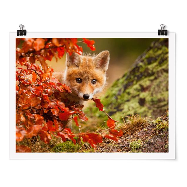 Animal wall art Fox In Autumn