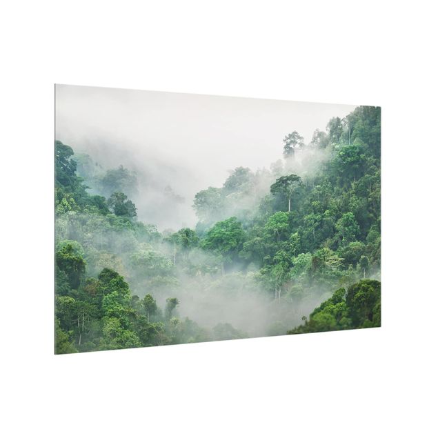 Glass splashback landscape Jungle In The Fog