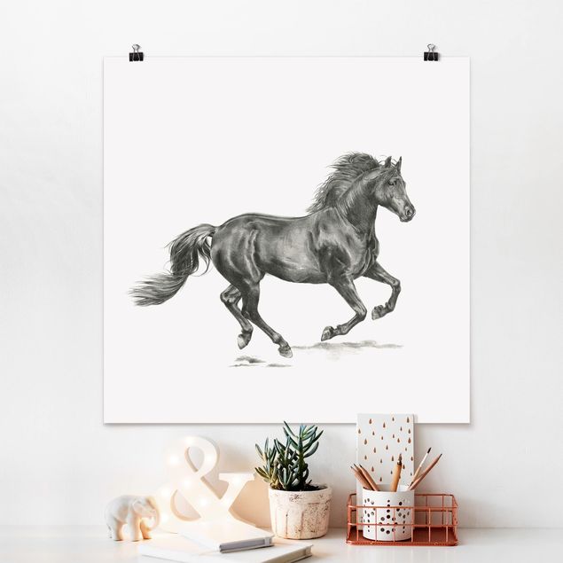 Horse canvas Wild Horse Trial - Stallion