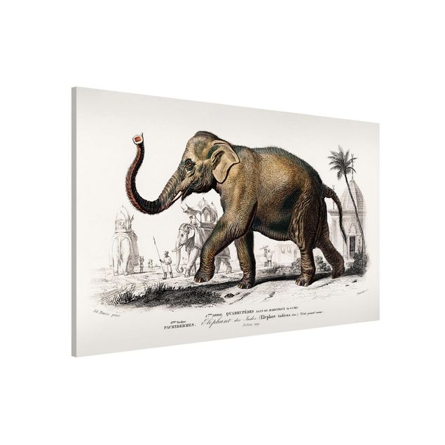 Kitchen Vintage Board Elephant