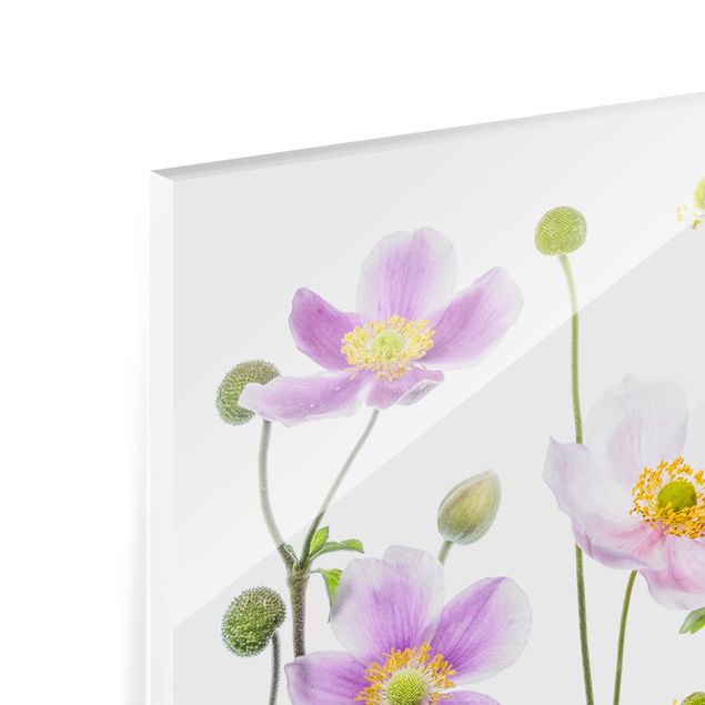 Glass Splashback - Anemone Mix - Landscape 1:2