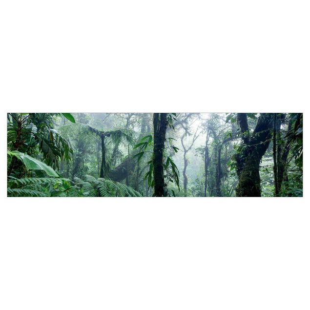 Kitchen splashbacks Monteverde Cloud Forest