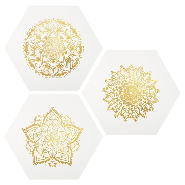 Prints patterns Mandala Flower Sun Illustration Set Gold
