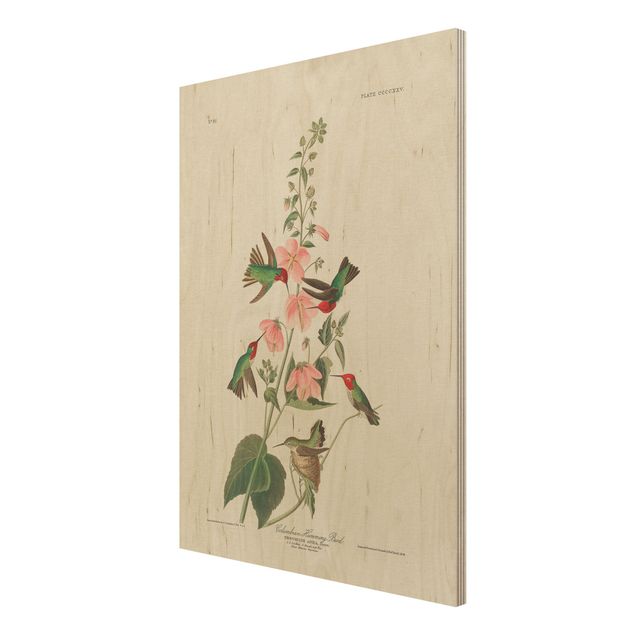 Wood prints vintage Vintage Board Colombian Hummingbird
