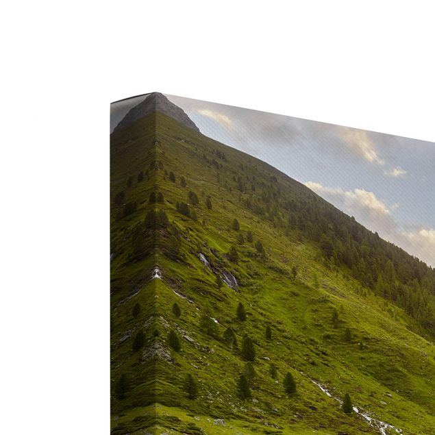 Nature art prints Alpine meadow Tirol